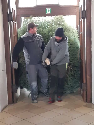 Foto des Albums: Christbäume aufstellen/schmücken 2025