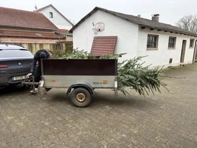 Christbaum einholen in Haimbuch  (Bild vergr&ouml;&szlig;ern)