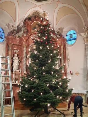 Foto des Albums: Christbäume aufstellen/schmücken 2025
