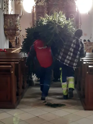 Foto des Albums: Christbäume aufstellen/schmücken 2025