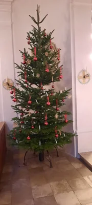 D&uuml;rnhart  (Bild vergr&ouml;&szlig;ern)