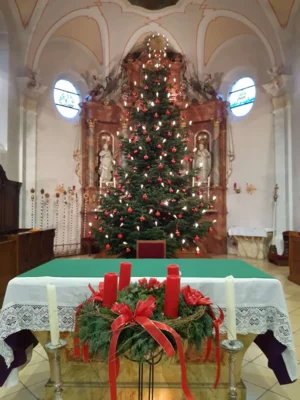Foto des Albums: Christbäume aufstellen/schmücken 2025