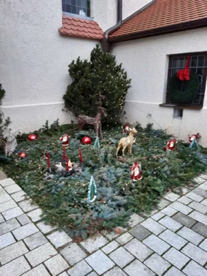 Foto des Albums: Christbäume aufstellen/schmücken 2025