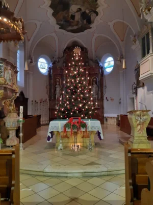 Foto des Albums: Christbäume aufstellen/schmücken 2025