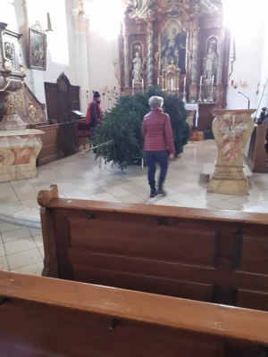 Foto des Albums: Christbäume aufstellen/schmücken 2025