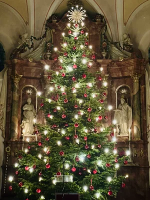 Foto des Albums: Christmette Schönach