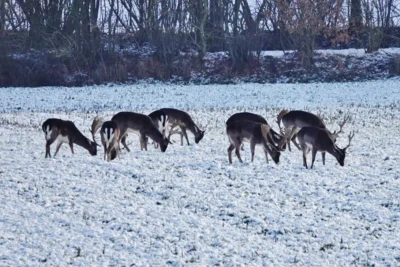 Noch mal vorbei an der Truppe auf den vorderen Wassermissen 