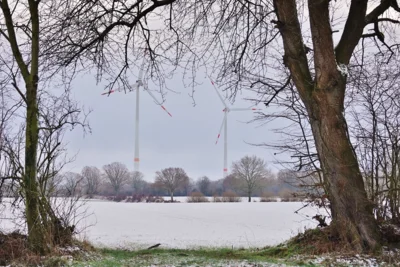 Windr&auml;der im Natur-Passepartout 