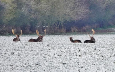 Die haben wohl gro&szlig;e Pause 