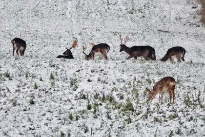 Und andere haben gro&szlig;en Hunger 