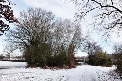 An der alten Schietkuhle 