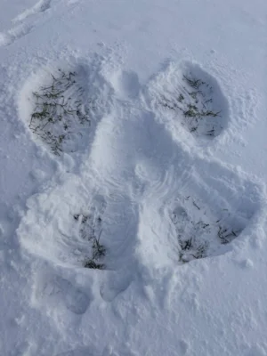 Foto des Albums: Natur AG 26