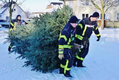 Der VVV-Baum - Gesamt-Nr  67 