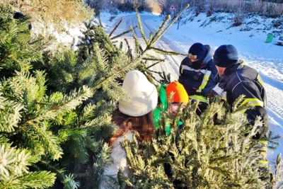 Wenn Sammler und Gesammeltes verschmelzen 