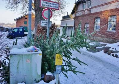 Auch dieser Baum wurde erkannt 