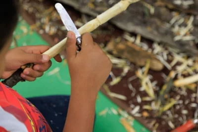 Vorschaubild: JW1A3716