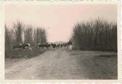 Foto des Albums: Rückblick auf die DDR und LPG