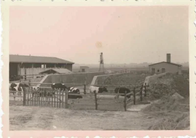 Foto des Albums: Rückblick auf die DDR und LPG