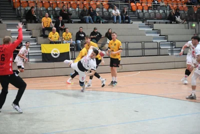 Foto des Albums: 260117_HCE-SV Anhalt Bernburg