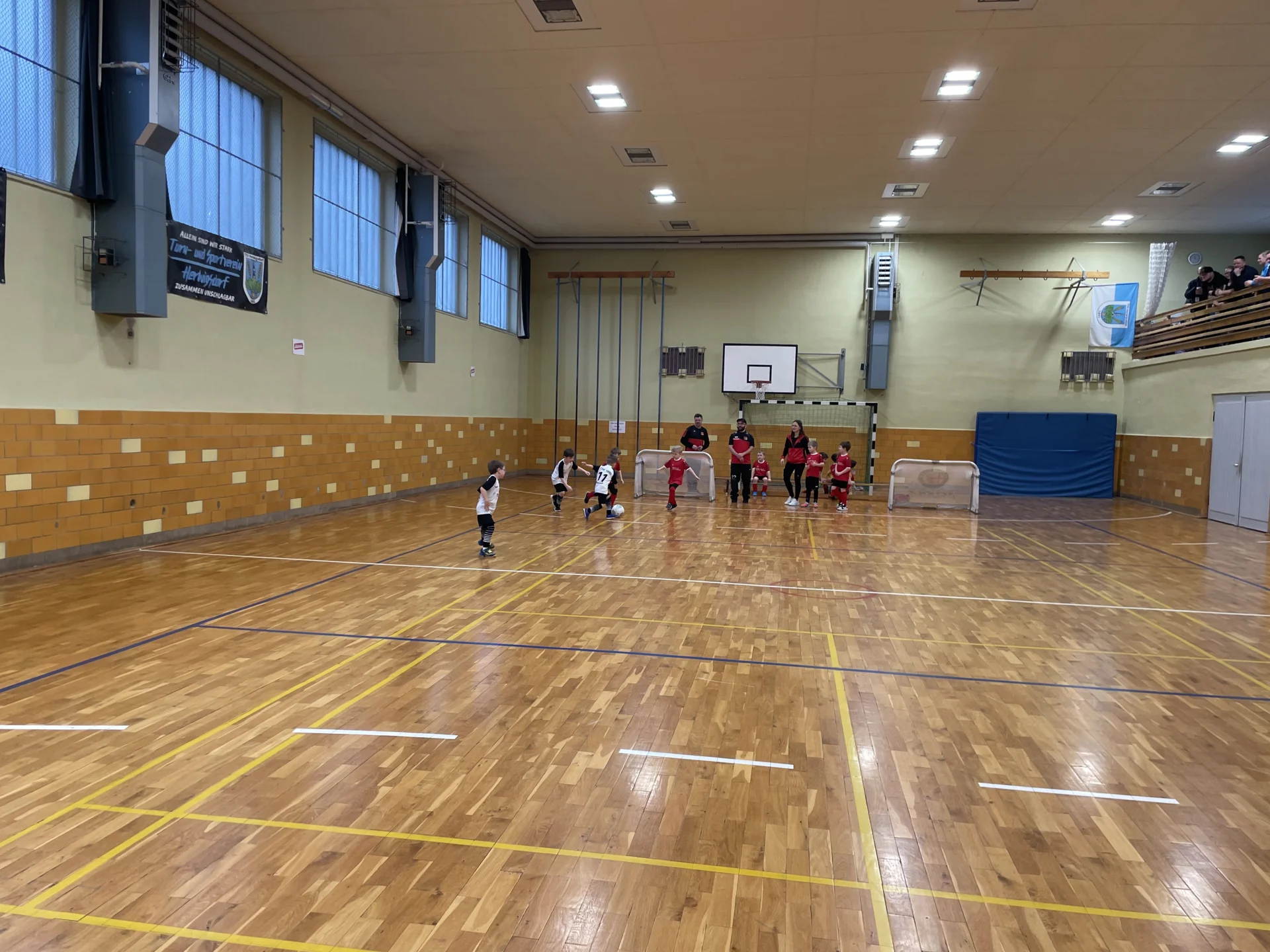 Bild: 260117 G J Herw 9193