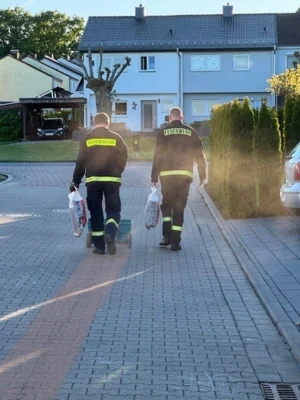 Vorschaubild