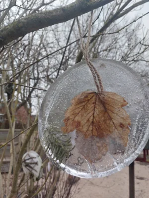 Foto des Albums: Winter 2025/2026