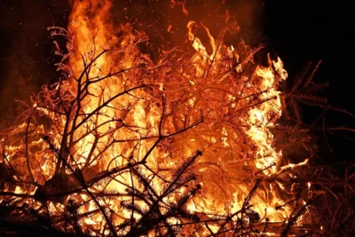 Ein Blick in die Glut 