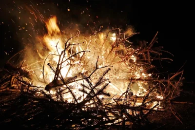 Nadel f&uuml;r Nadel, Zweig f&uuml;r Zweig 