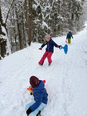 Foto des Albums: Winterzeit  - Schlittenzeit