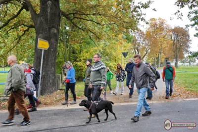Foto des Albums: Rund um Schadewitz