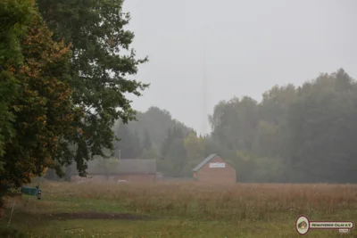 Foto des Albums: Rund um Schadewitz