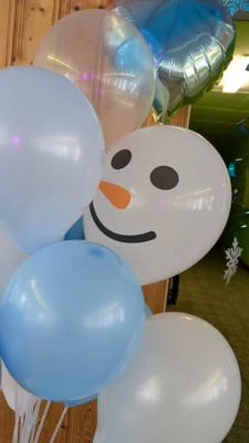 Foto des Albums: Winterball 2026