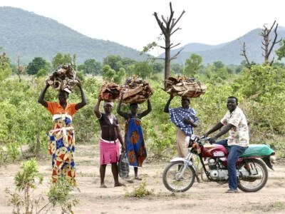 Foto des Albums: Und hier schon einmal einige Impressionen aus Nigeria