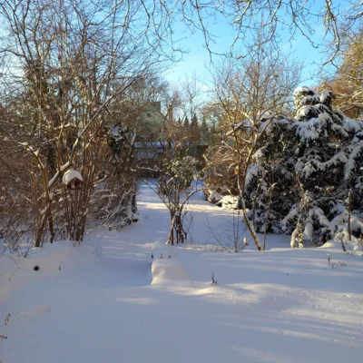 Foto des Albums: Kirche, Pfarrhäuser & Pfarrhof im Winter