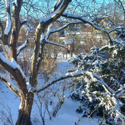 Foto des Albums: Kirche, Pfarrhäuser & Pfarrhof im Winter