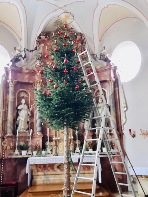 Foto des Albums: Maria Lichtmess - Die Christbäume kommen weg