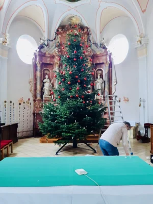 Foto des Albums: Maria Lichtmess - Die Christbäume kommen weg
