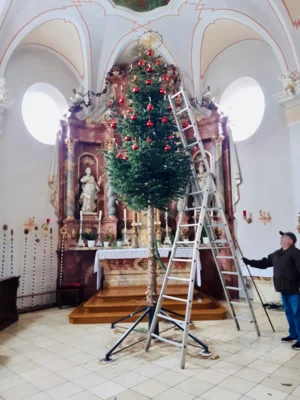 Foto des Albums: Maria Lichtmess - Die Christbäume kommen weg