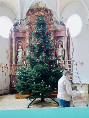 Foto des Albums: Maria Lichtmess - Die Christbäume kommen weg