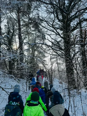 Foto des Albums: Auf Spurensuche im Winterwald