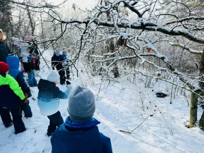 Foto des Albums: Auf Spurensuche im Winterwald