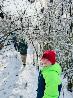 Foto des Albums: Auf Spurensuche im Winterwald