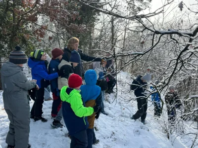 Foto des Albums: Auf Spurensuche im Winterwald