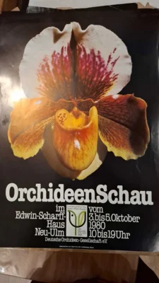 Foto des Albums: Pflanzen unserer Mitglieder