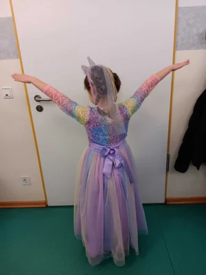 Foto des Albums: Fasching 2026