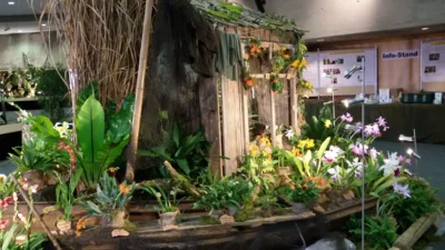 Foto des Albums: Austelungsstand Neu Ulmer Orchideen Tage 2018
