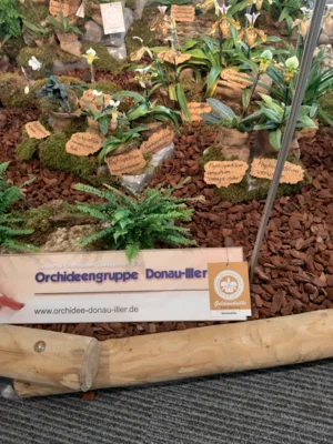 Foto des Albums: Ausstellungsstand Neu Ulmer Orchideen Tage 2020