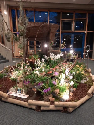 Foto des Albums: Ausstellungsstand Neu Ulmer Orchideen Tage 2024