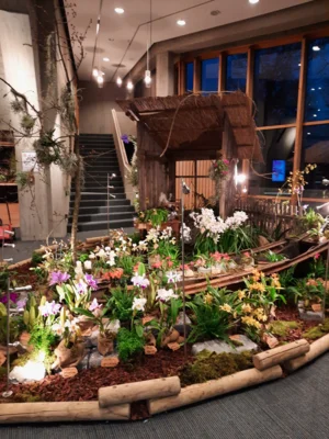 Foto des Albums: Ausstellungsstand Neu Ulmer Orchideen Tage 2024