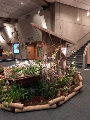 Foto des Albums: Ausstellungsstand Neu Ulmer Orchideen Tage 2024